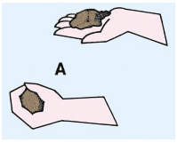 Test du lancer de la boule