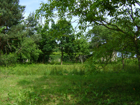 Mon Terrain avant la maison